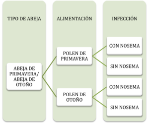 Diseño de experimento